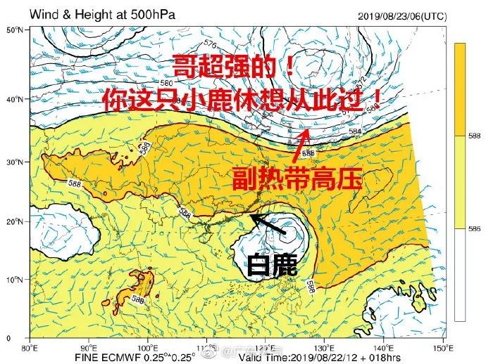 臺風(fēng)最新路徑,臺風(fēng)最新路徑報告，動態(tài)監(jiān)測與應(yīng)對策略