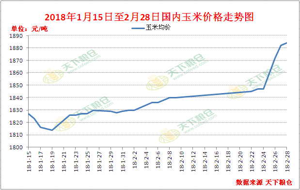 玉米價格最新行情,玉米價格最新行情分析