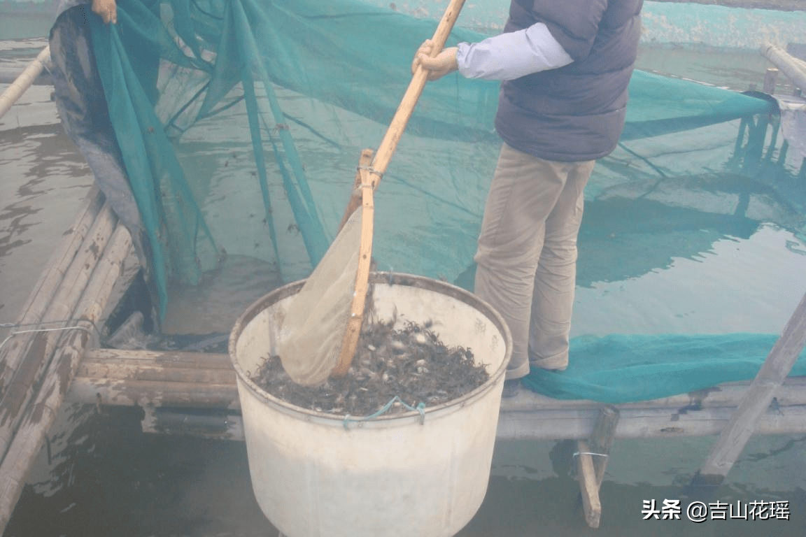 肥東地震最新消息,肥東地震最新消息，全面解讀與應(yīng)對(duì)策略