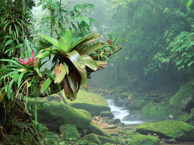 草榴最新地址,草榴最新地址，探索與發(fā)現(xiàn)