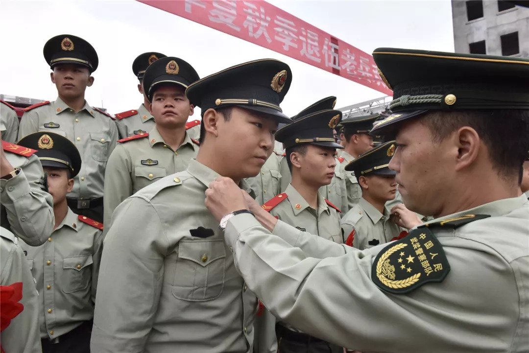 殘疾軍人最新消息,殘疾軍人最新消息，全面關(guān)注與支持，共創(chuàng)美好未來