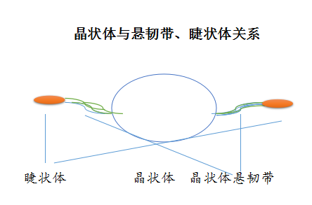 最新眼保健操,最新眼保健操，守護視力健康的關鍵步驟