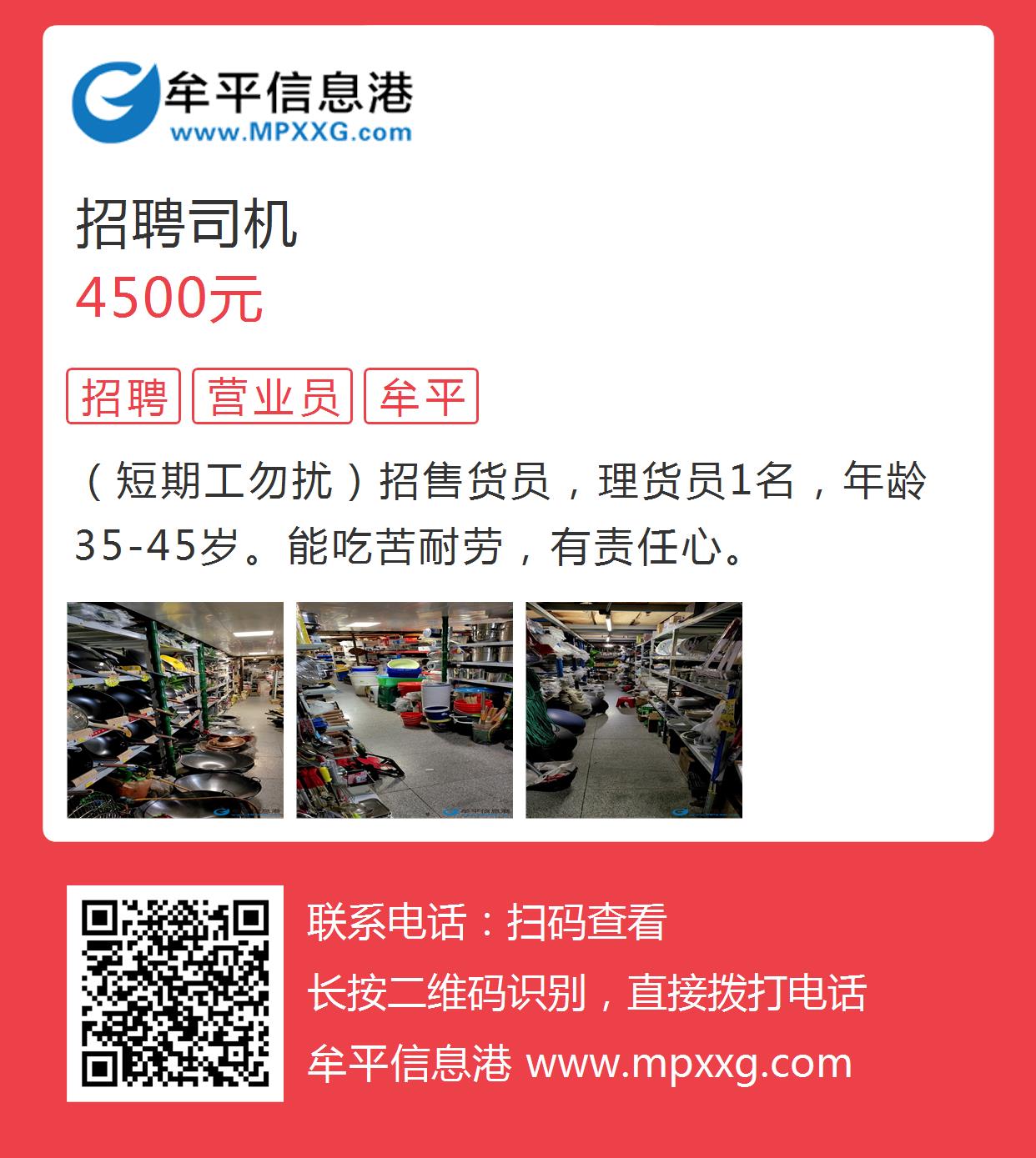 平原信息港最新招聘,平原信息港最新招聘動態(tài)及其影響