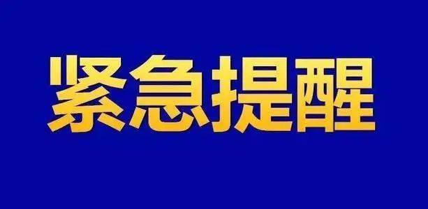 緬甸電信詐騙最新消息,緬甸電信詐騙最新消息深度解析