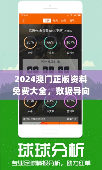 2024年新澳門王中王免費(fèi),探索新澳門，2024年王中王免費(fèi)現(xiàn)象的背后