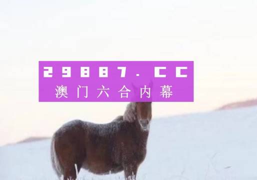 新澳2024年精準(zhǔn)一肖一碼,新澳2024年精準(zhǔn)一肖一碼，預(yù)測(cè)與探索