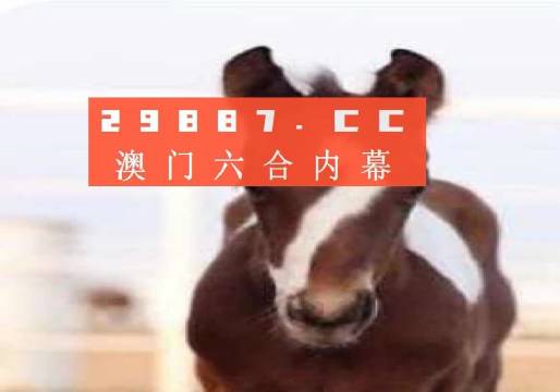 澳門一碼一碼100準(zhǔn)確掛牌,澳門一碼一碼精準(zhǔn)掛牌，探索真實(shí)準(zhǔn)確的秘密