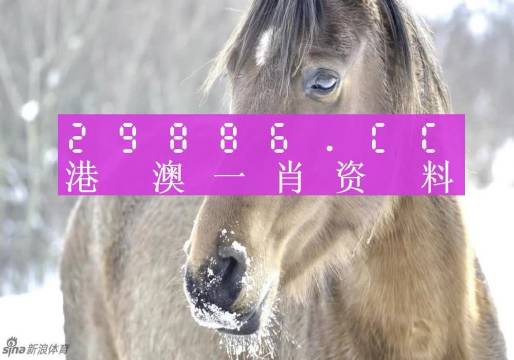 澳門平特一肖100%準(zhǔn)資點(diǎn)評,澳門平特一肖，深度解析與精準(zhǔn)預(yù)測點(diǎn)評