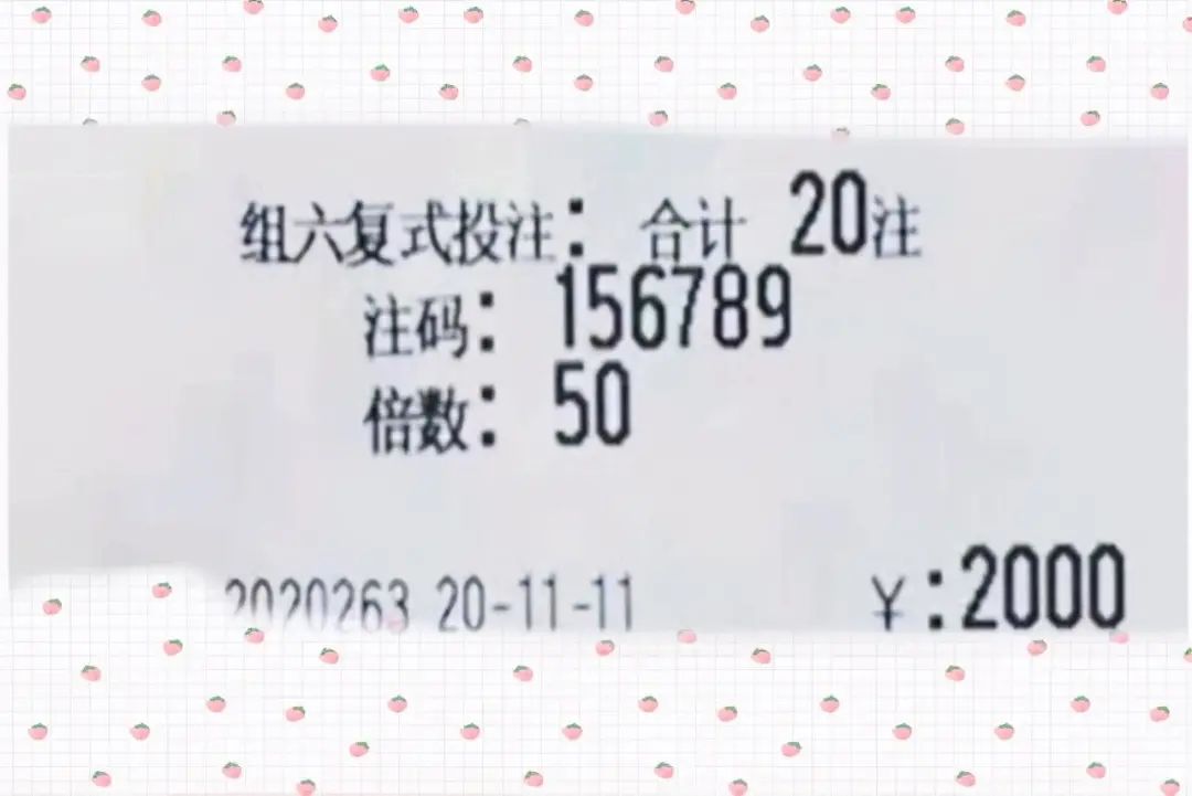 2024年新澳門今晚開獎結果2024年,揭秘2024年新澳門今晚開獎結果——探尋彩票背后的故事