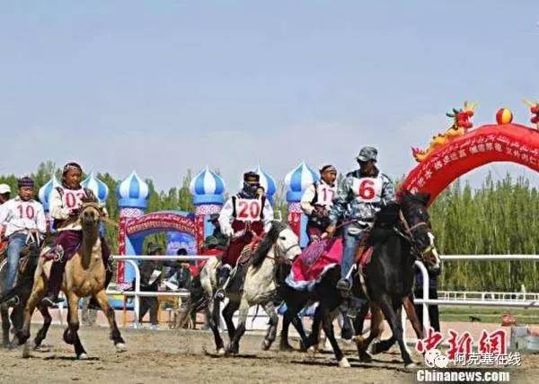 2024今晚香港開特馬,今晚香港開特馬，探索賽馬運動的魅力與激情