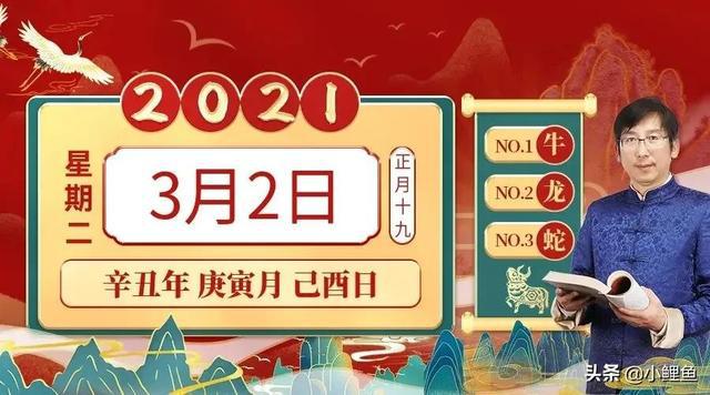 2024澳門(mén)特馬今晚開(kāi)獎(jiǎng)什么生肖,關(guān)于澳門(mén)特馬今晚開(kāi)獎(jiǎng)的生肖預(yù)測(cè)及違法犯罪問(wèn)題探討