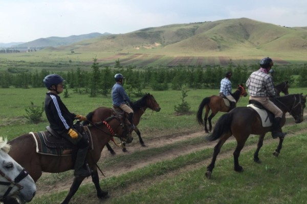 澳門今晚開特馬 開獎結(jié)果大豐收,澳門今晚開特馬，警惕背后的風(fēng)險與挑戰(zhàn)