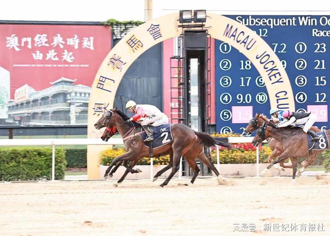 澳門馬報(bào),澳門馬報(bào)，歷史、文化及現(xiàn)代影響