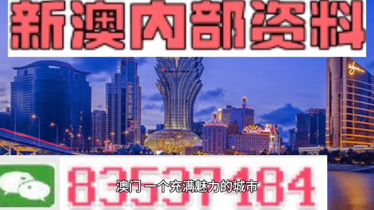 澳門(mén)內(nèi)部資料精準(zhǔn)大全2023,澳門(mén)內(nèi)部資料精準(zhǔn)大全2023，揭示與警示