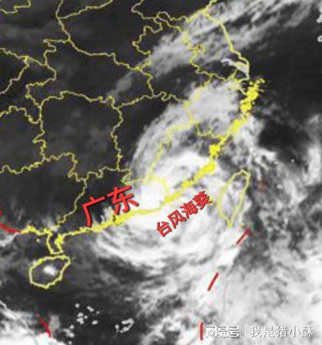 2024年12月9日 第6頁