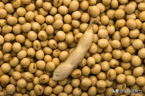 河南大豆價(jià)格最新行情,河南大豆價(jià)格最新行情分析