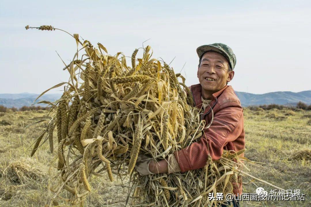 保德縣最新新聞,保德縣最新新聞綜述，發(fā)展動(dòng)態(tài)與民生改善