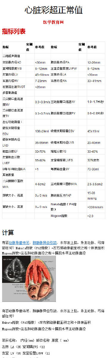 最新心臟彩超正常值,最新心臟彩超正常值及其重要性