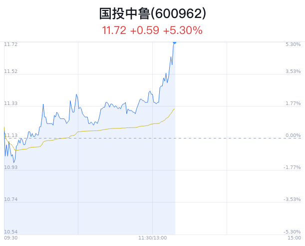 國投中魯最新消息,國投中魯最新消息全面解讀