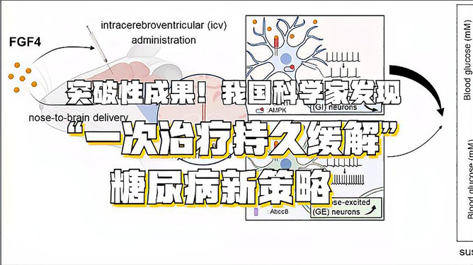 二型糖尿病最新好消息,二型糖尿病最新好消息，突破性的研究與治療進展