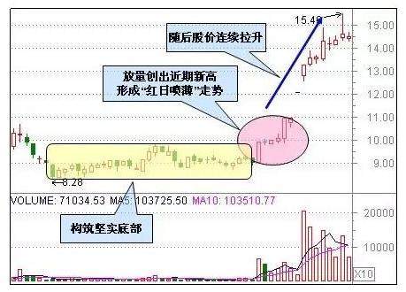 四種形態(tài)最新表述,四種形態(tài)的最新表述，探索、理解、應(yīng)用與創(chuàng)新