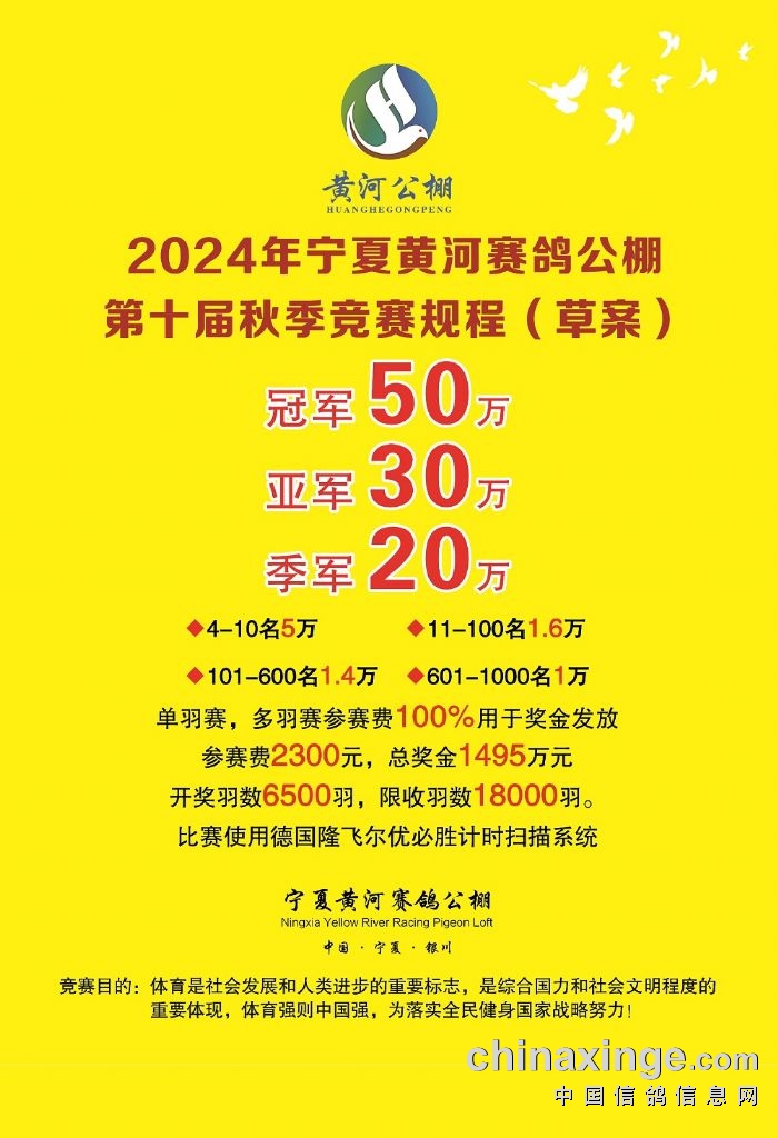 黃河公棚最新公告,黃河公棚最新公告，揭示未來發(fā)展規(guī)劃與重要更新