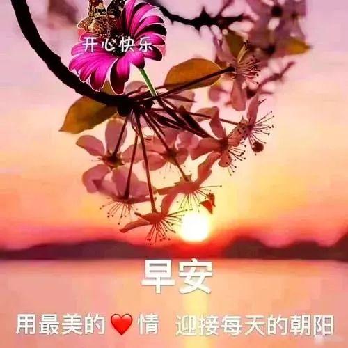 早上好動態(tài)表情最新版,早上好動態(tài)表情最新版，開啟一天的美好心情