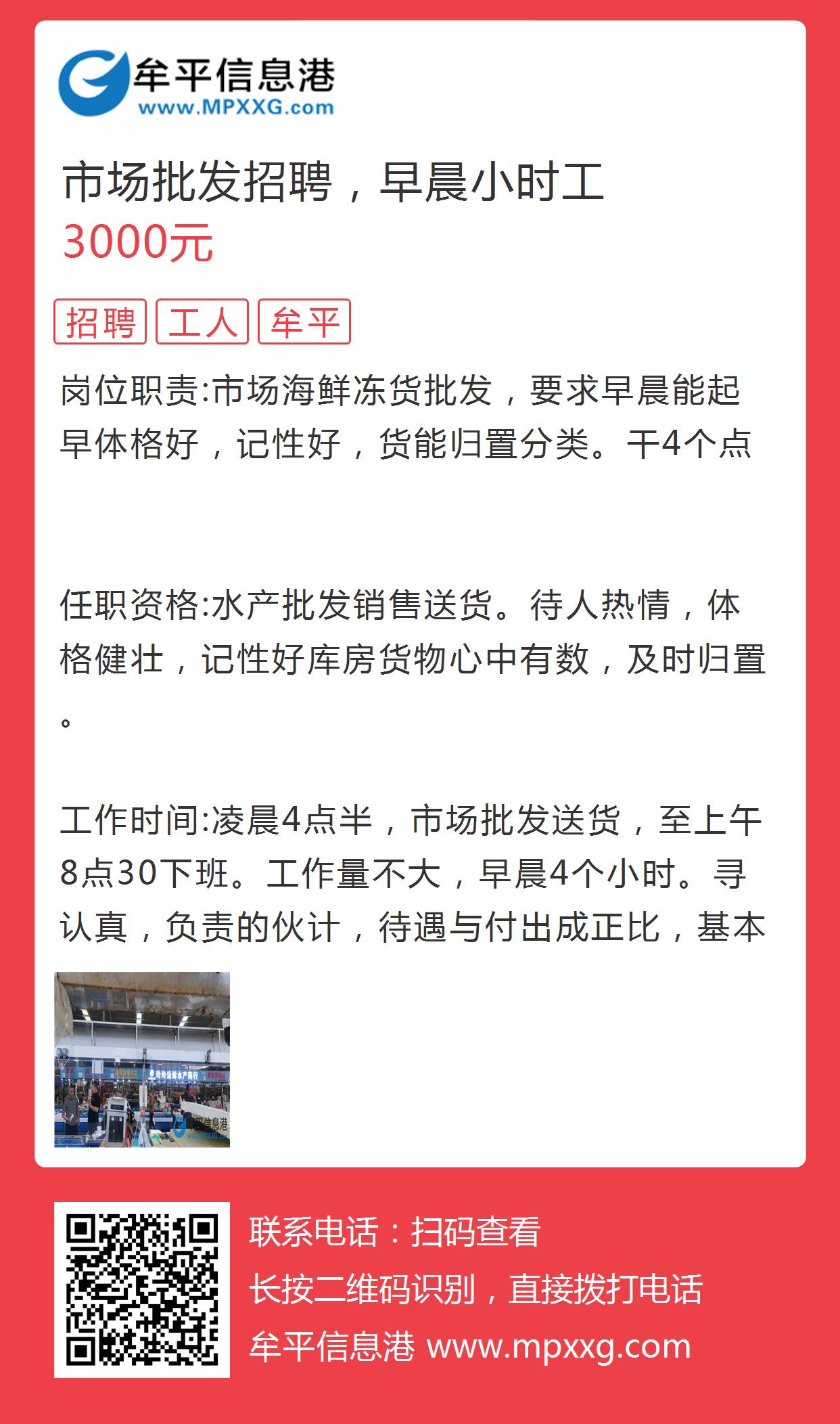 牟平短期工最新招聘,牟平短期工最新招聘動態(tài)及相關(guān)信息解析