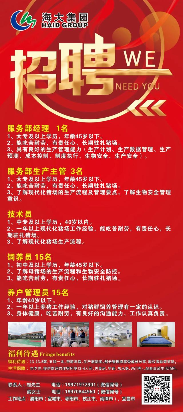 郎溪在線最新招聘信息,郎溪在線最新招聘信息概覽