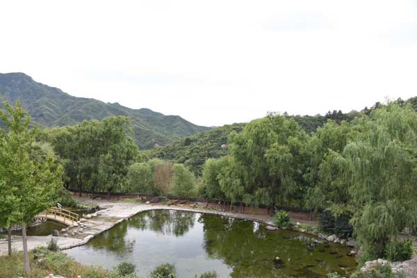 東寧虎豹公園最新消息,東寧虎豹公園最新消息，自然野趣與現(xiàn)代科技共融的生態(tài)保護(hù)新篇章