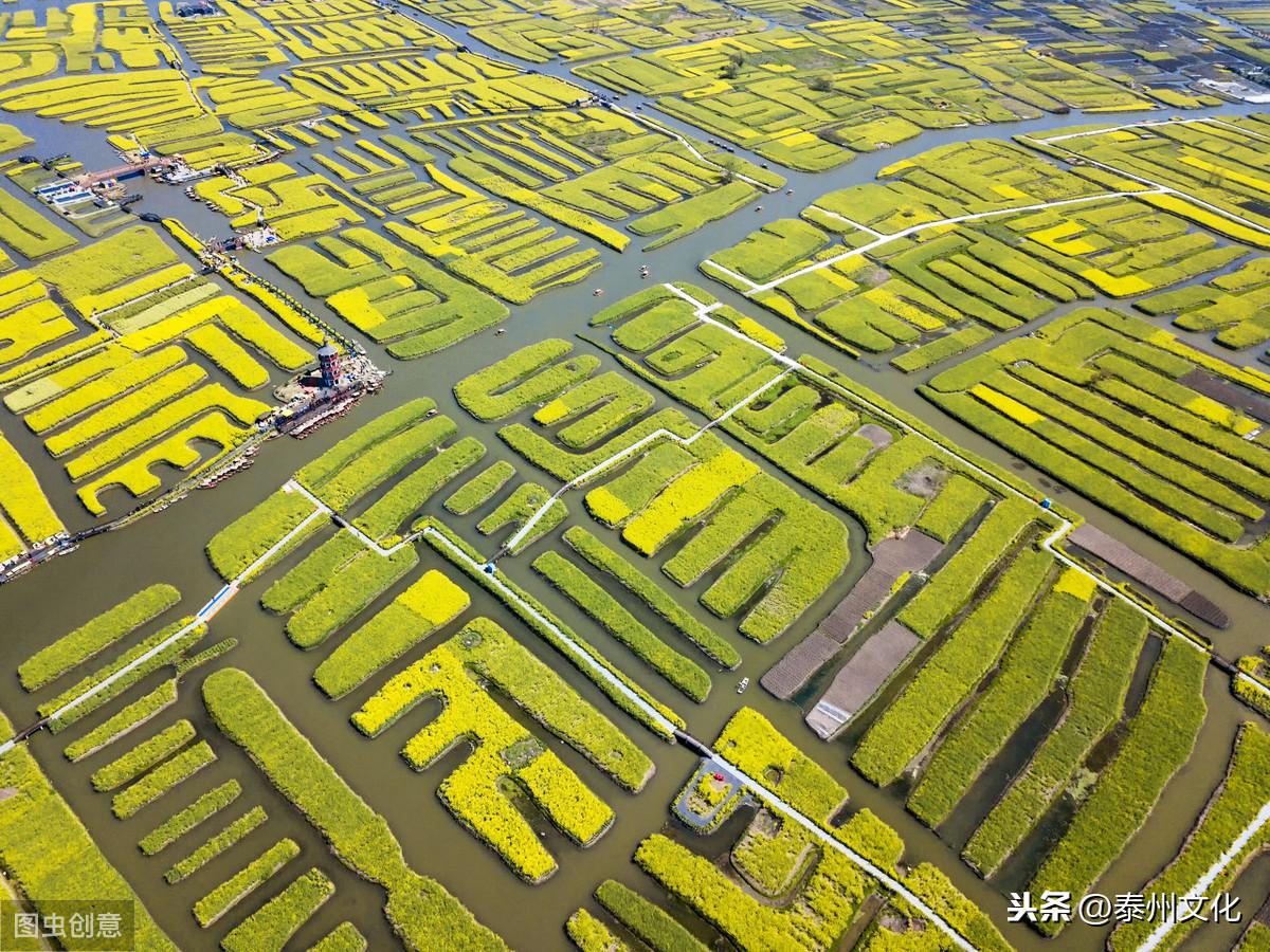 興化市最新公路規(guī)劃圖,興化市最新公路規(guī)劃圖，構(gòu)建現(xiàn)代化交通網(wǎng)絡(luò)