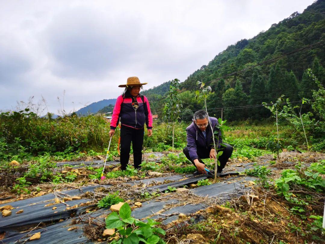 江蘇伯克生物最新動態(tài),江蘇伯克生物最新動態(tài)，引領(lǐng)行業(yè)前沿，推動科技創(chuàng)新