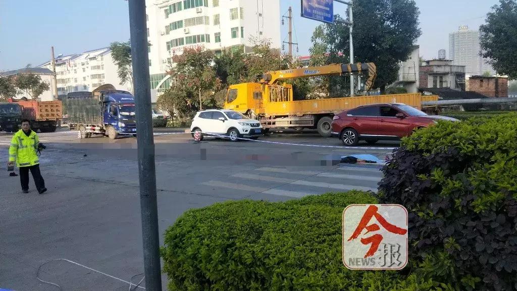 荔浦最新車禍,荔浦最新車禍事件深度解析