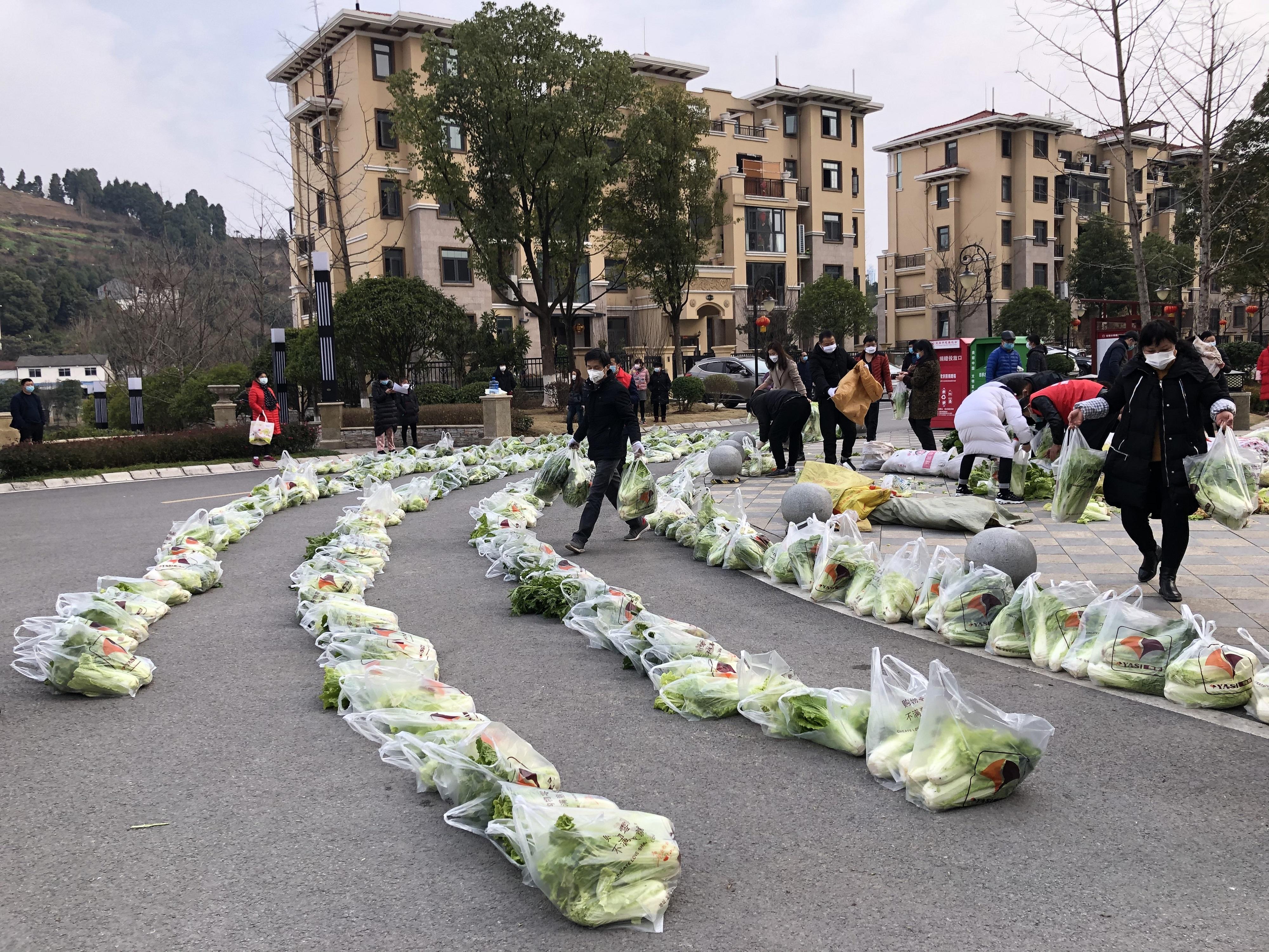 鴻坤理想灣最新房價,鴻坤理想灣最新房價動態(tài)，市場走勢與購房指南