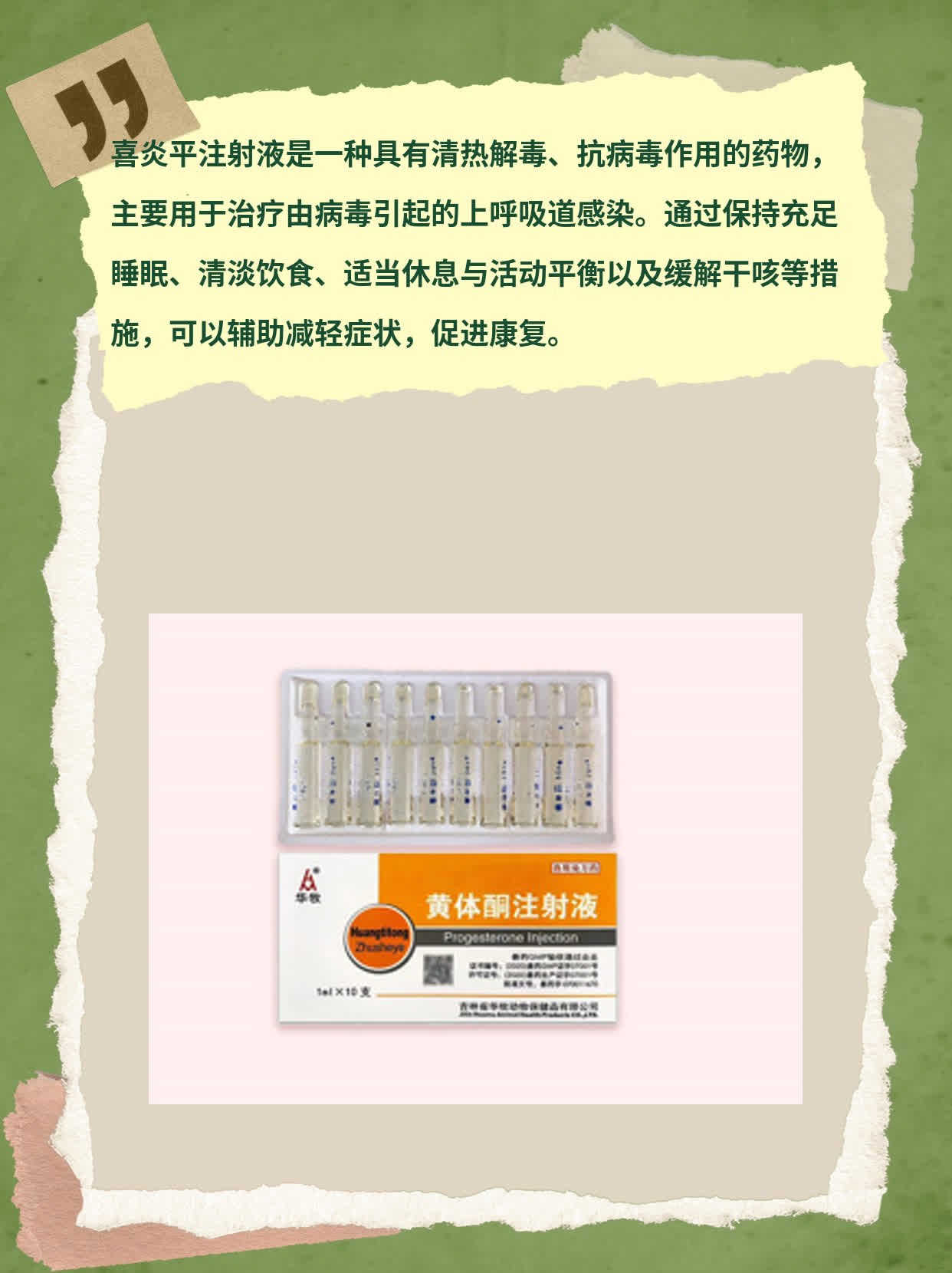 喜炎平最新說明書,喜炎平最新說明書詳解