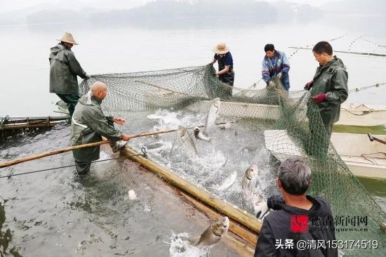 捕魚最新,最新捕魚技術與方法，探索現(xiàn)代捕魚行業(yè)的革新之路