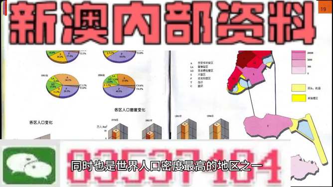 澳門正版資料免費精準|詳述釋義解釋落實,澳門正版資料免費精準，揭示犯罪與法律落實之間的博弈