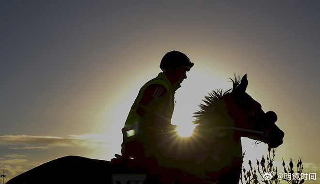 2024澳門特馬今晚開獎53期|再接釋義解釋落實,澳門特馬今晚開獎53期，開獎釋義與落實解析