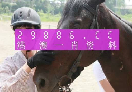 澳門今晚最準(zhǔn)一肖一碼|量度釋義解釋落實,澳門今晚最準(zhǔn)一肖一碼，量度釋義、解釋與落實