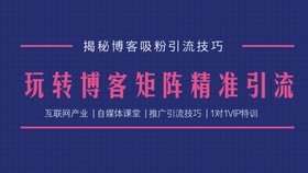 澳門天天免費(fèi)精準(zhǔn)大全|專題釋義解釋落實(shí),澳門天天免費(fèi)精準(zhǔn)大全，專題釋義解釋與落實(shí)策略探討