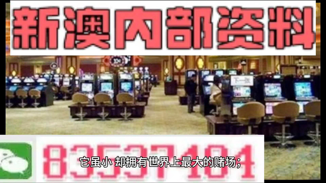 2024新澳精準(zhǔn)正版資料|潛力釋義解釋落實(shí),探索未來(lái)，解析新澳精準(zhǔn)正版資料與潛力的深度內(nèi)涵及其實(shí)踐路徑