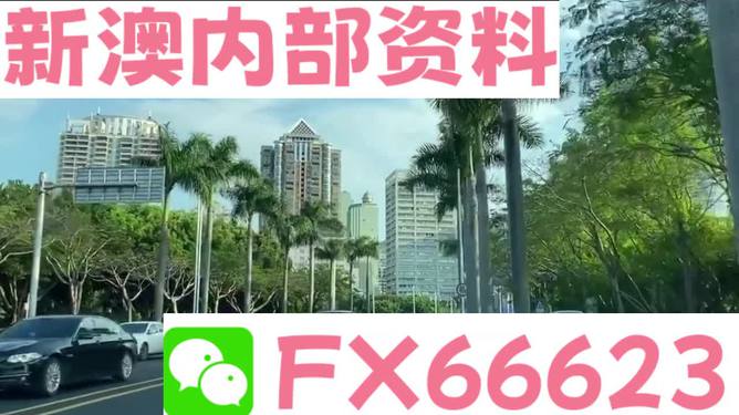 新澳精準(zhǔn)資料免費(fèi)提供|機(jī)會(huì)釋義解釋落實(shí),新澳精準(zhǔn)資料免費(fèi)提供的機(jī)會(huì)釋義與落實(shí)策略