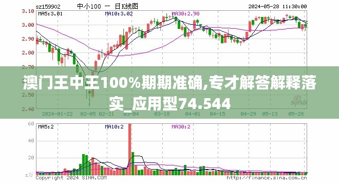 新澳門王中王100%期期中|外包釋義解釋落實,新澳門王中王期期中與外包釋義解釋落實的探討