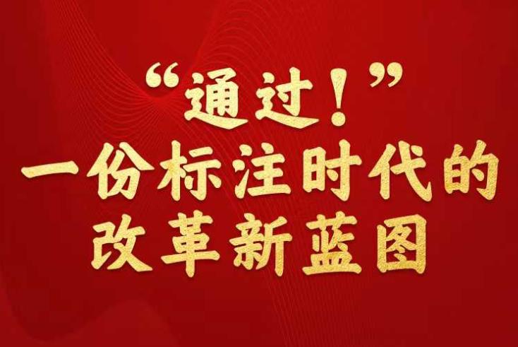 新澳門三碼中特|人員釋義解釋落實,新澳門三碼中特與人員釋義解釋落實，揭示背后的違法犯罪問題