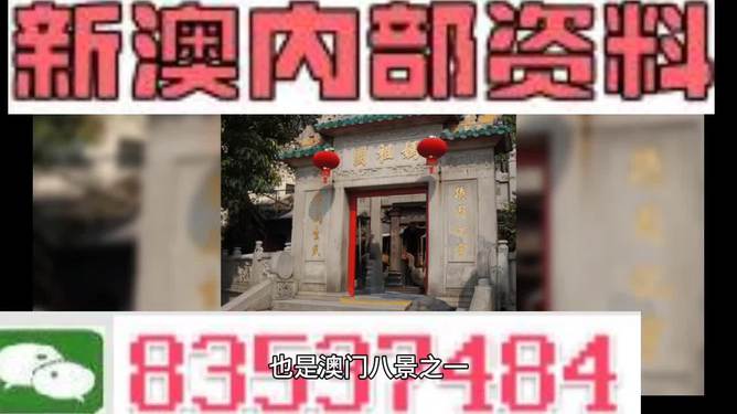 204年澳門(mén)免費(fèi)精準(zhǔn)資料|勵(lì)精釋義解釋落實(shí),澳門(mén)免費(fèi)精準(zhǔn)資料與勵(lì)精釋義，落實(shí)與解釋的重要性