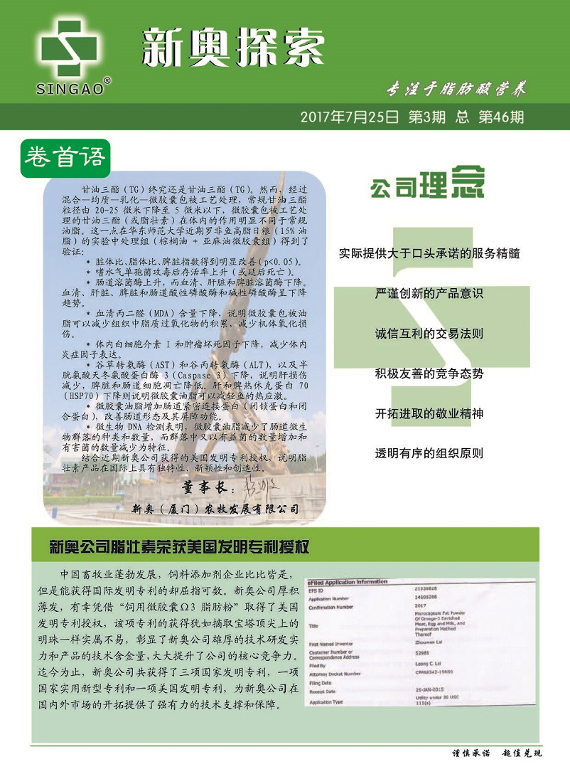 2024新奧精準(zhǔn)版資料|討論釋義解釋落實,關(guān)于新奧精準(zhǔn)版資料的討論，釋義、解釋與落實