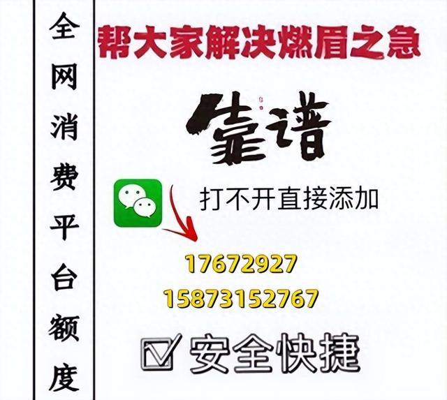 黃大仙2024最新資料|焦點釋義解釋落實,黃大仙2024最新資料與焦點釋義，深入解讀與落實行動