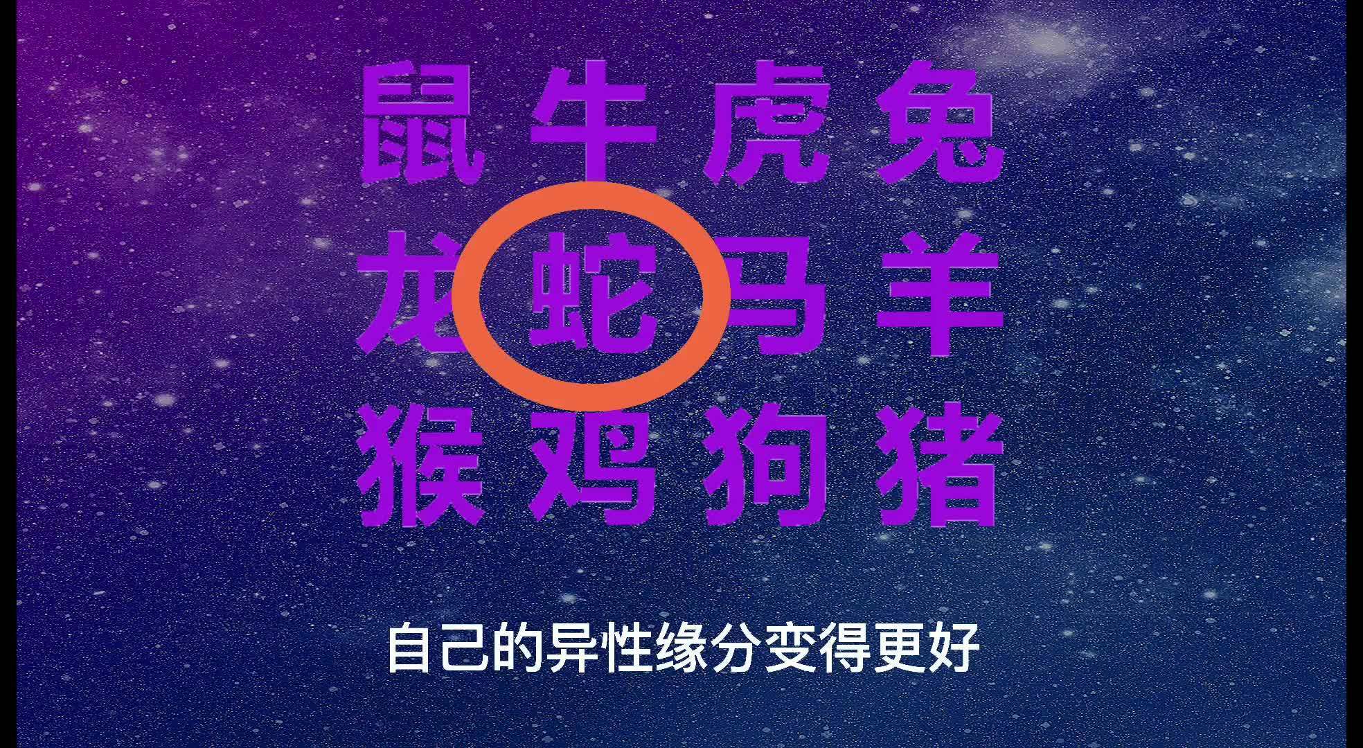 2024新澳門今天晚上開什么生肖|詮釋釋義解釋落實(shí),新澳門今晚生肖揭曉，詮釋、釋義與落實(shí)的探討