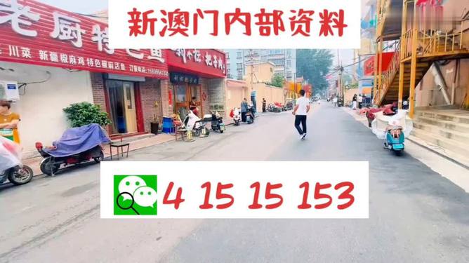 2024澳門天天開好彩大全開獎(jiǎng)記錄|感人釋義解釋落實(shí),澳門天天開好彩，開獎(jiǎng)記錄的感人釋義與解釋落實(shí)