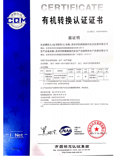 新奧門特免費(fèi)資料大全管家婆|國際釋義解釋落實(shí),新澳門特免費(fèi)資料大全管家婆，國際釋義解釋落實(shí)的重要性與策略